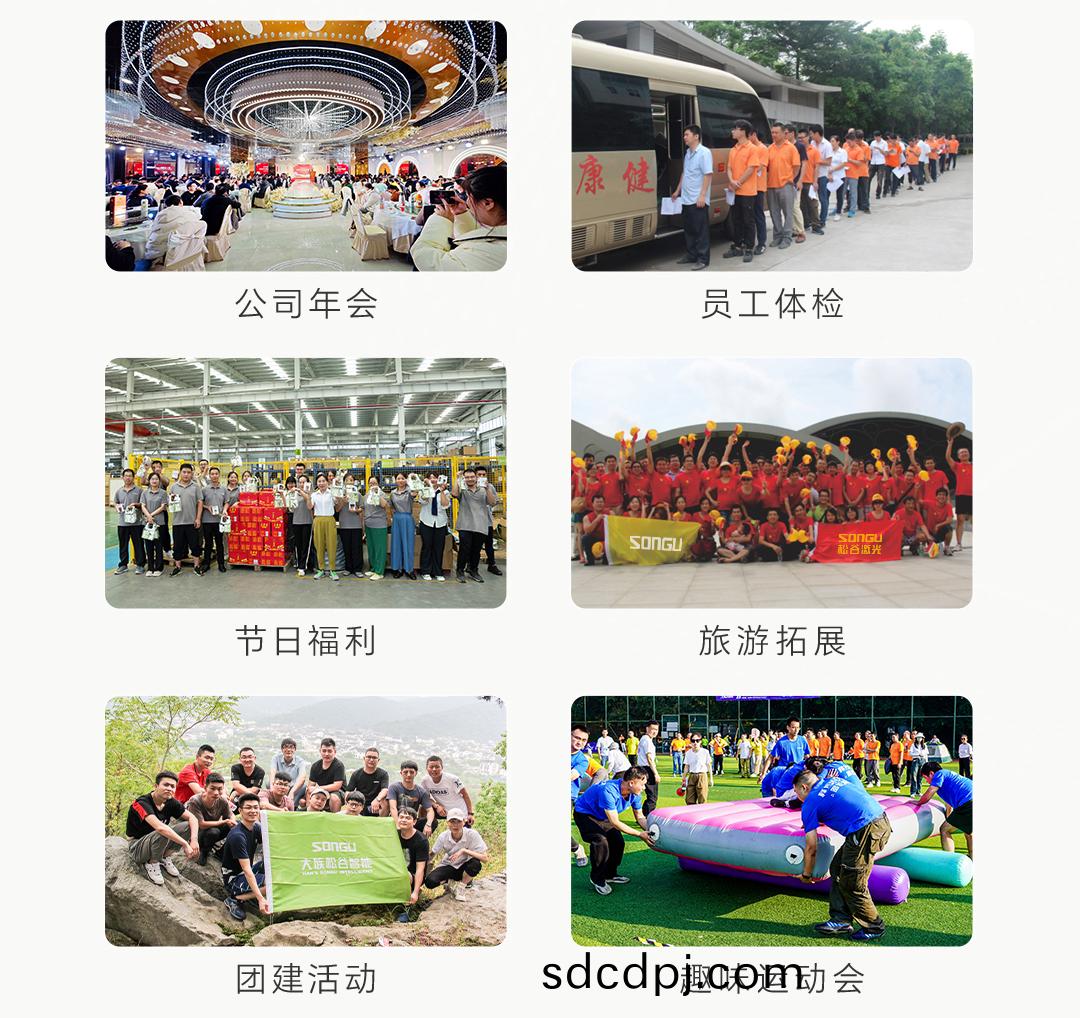 鬆(song)穀激(ji)光(guang)